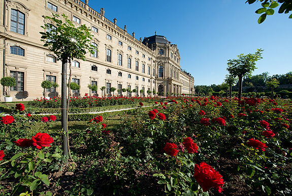 Picture: Roses in the Court Garden