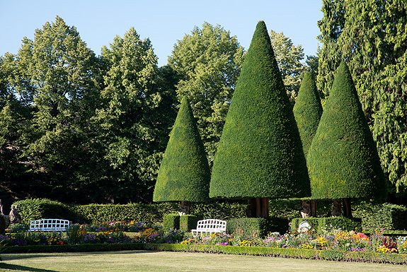 Picture: Trimmed yews in the South Garden