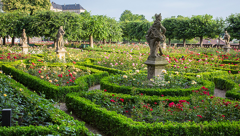 Picture: Bamberg Rose Garden